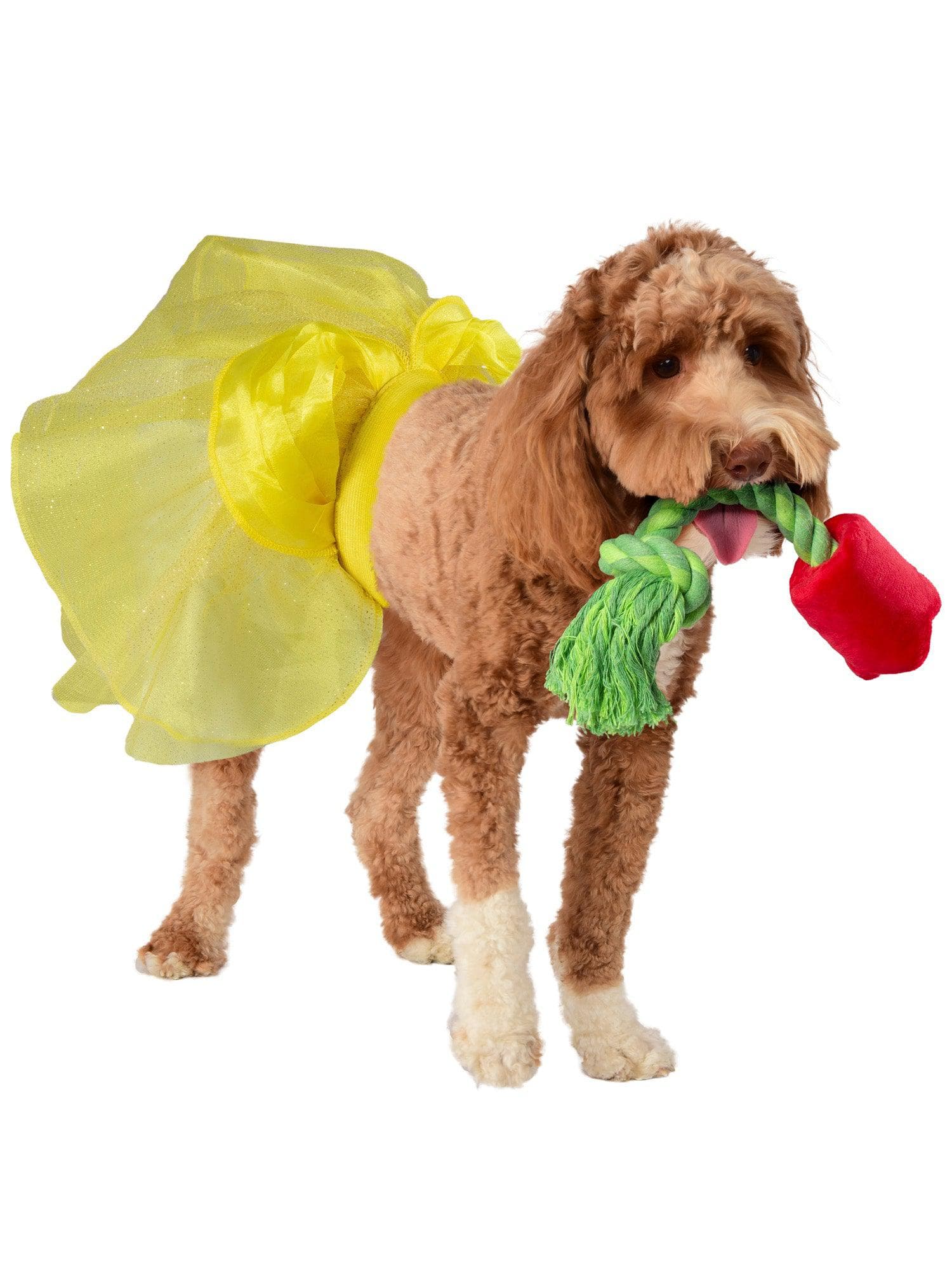 Beauty and the Beast Belle Pet Tutu and Rose Rope Toy - costumes.com