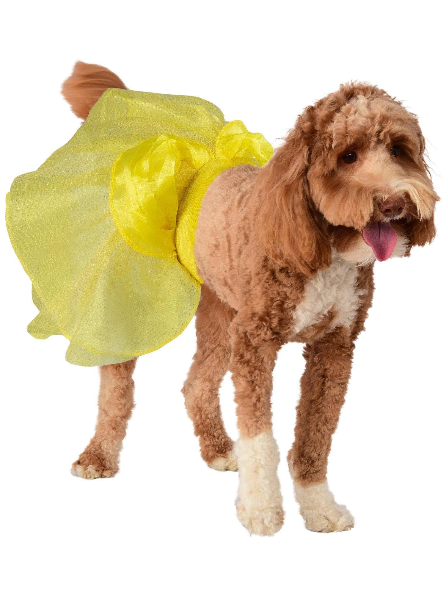 Beauty and the Beast Belle Pet Tutu and Rose Rope Toy - costumes.com