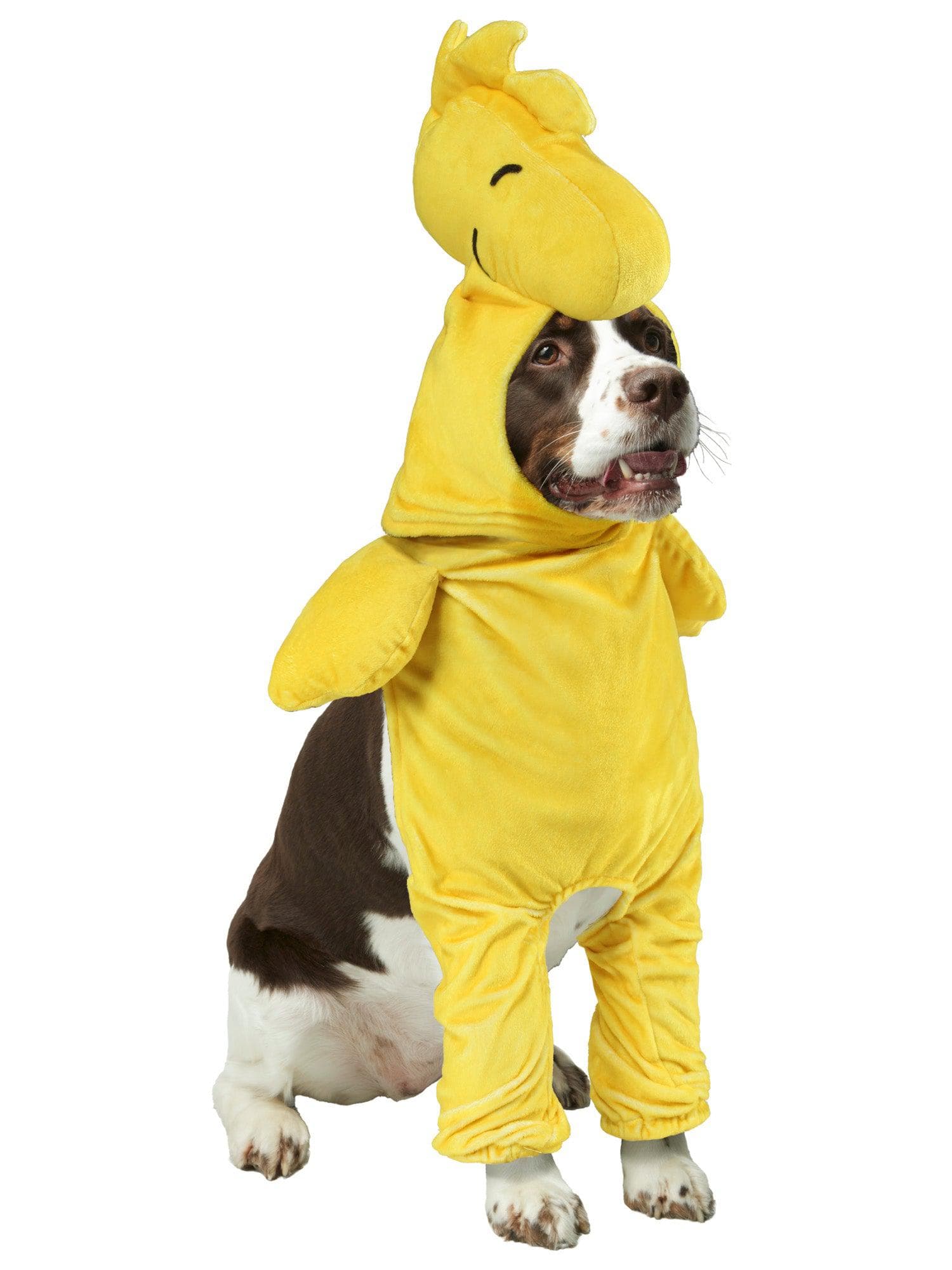 Peanuts Woodstock Walking Pet Costume - costumes.com