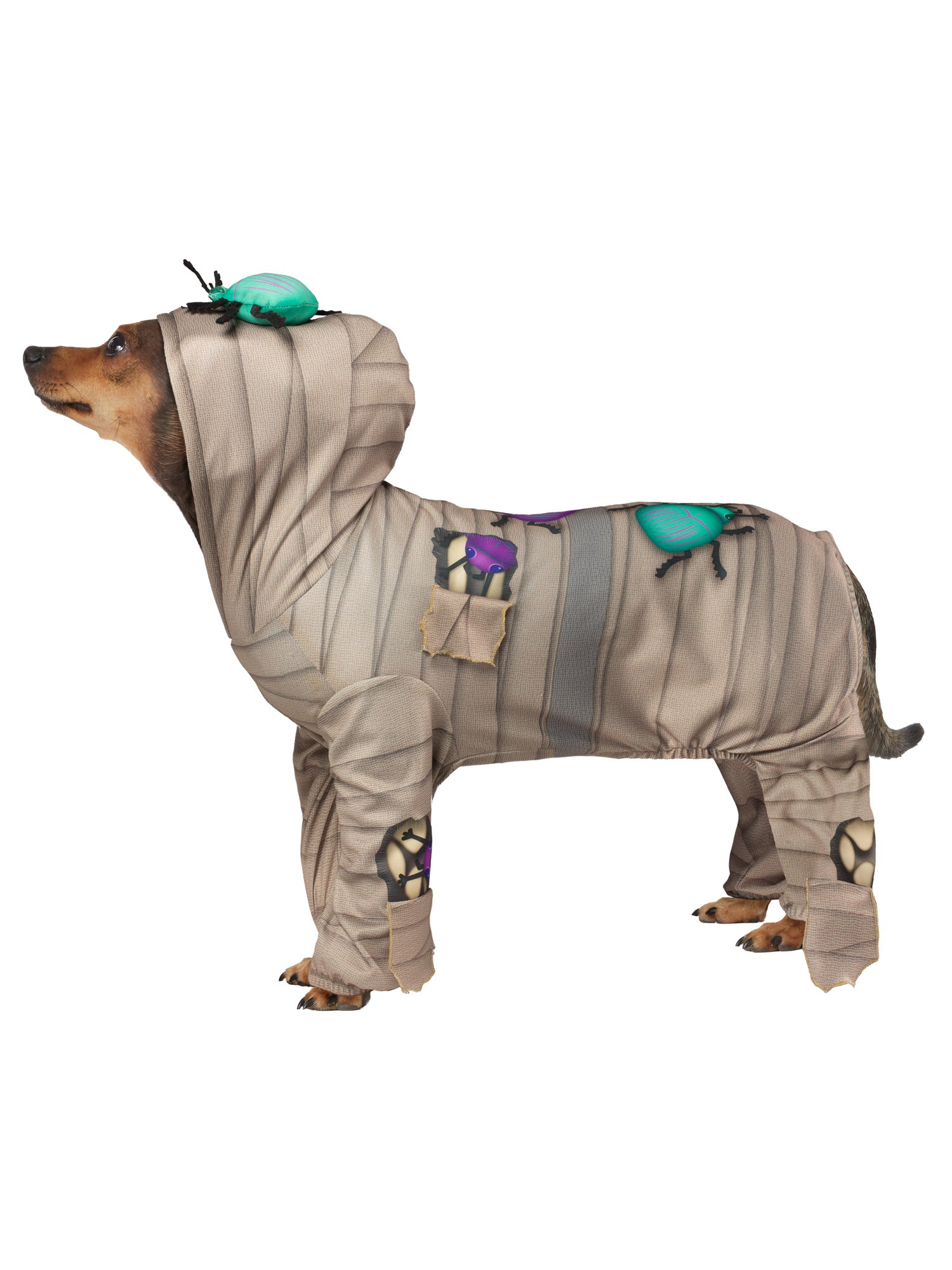 Ancient Mummy Pet Costume - costumes.com