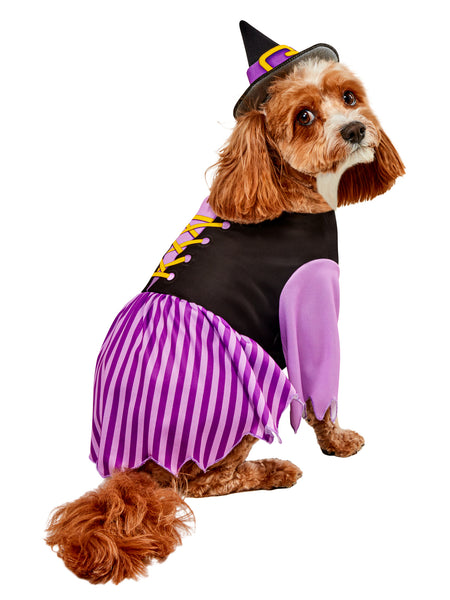 Purple Witch Pet Costume