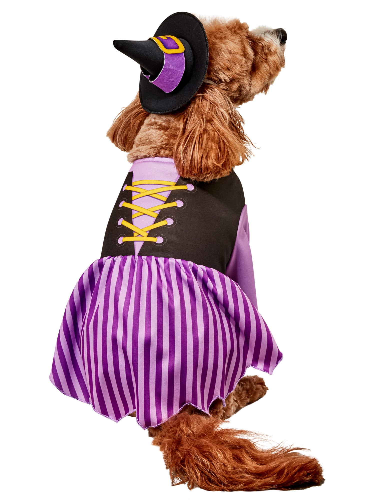 Purple Witch Pet Costume - costumes.com