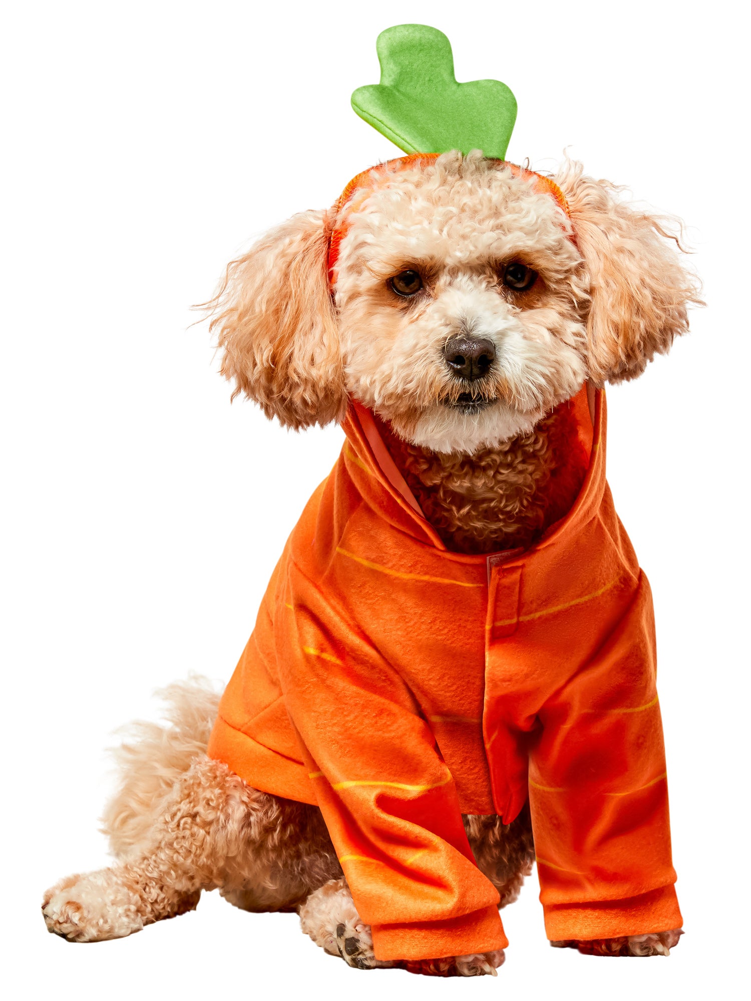 Carrot Hoodie Pet Costume - costumes.com