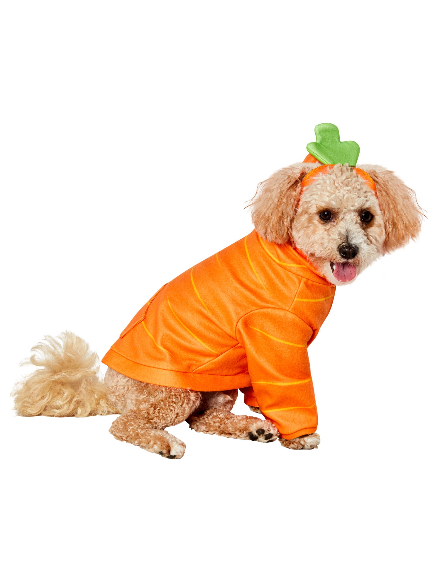 Carrot Hoodie Pet Costume - costumes.com