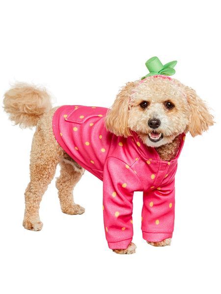 Sweet Strawberry Hoodie Pet Costume