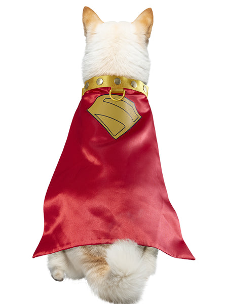 Supergirl Movie 2026 Krypto Pet Collar and Cape- Deluxe (PRE-ORDER)