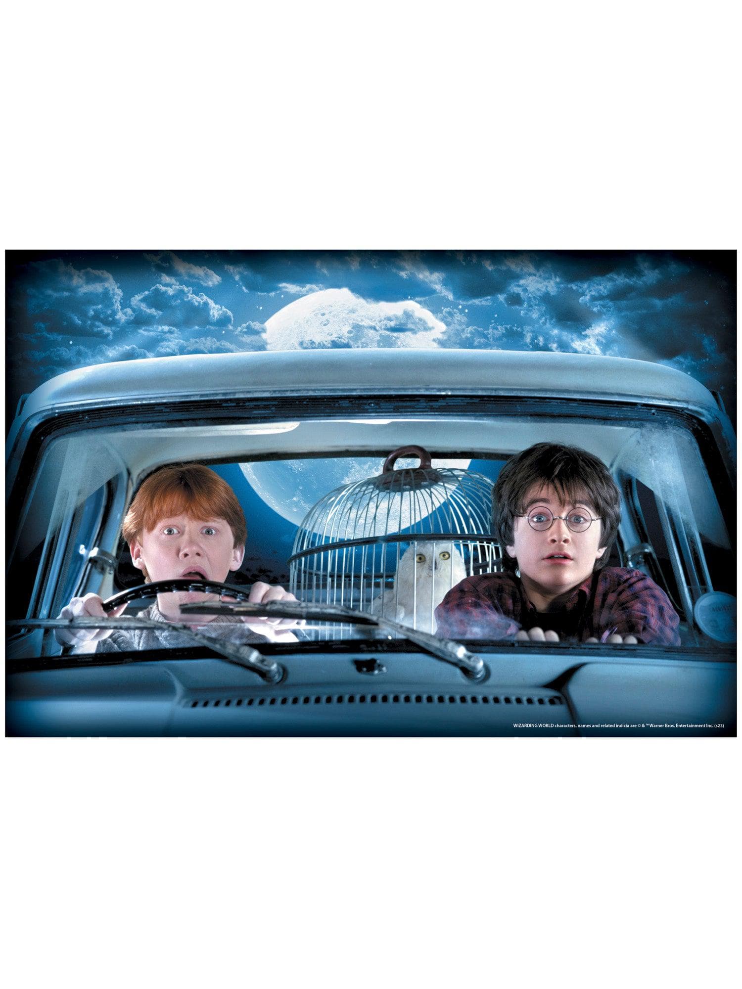 Harry Potter and Ron Weasley Window Cover Decoration - costumes.com