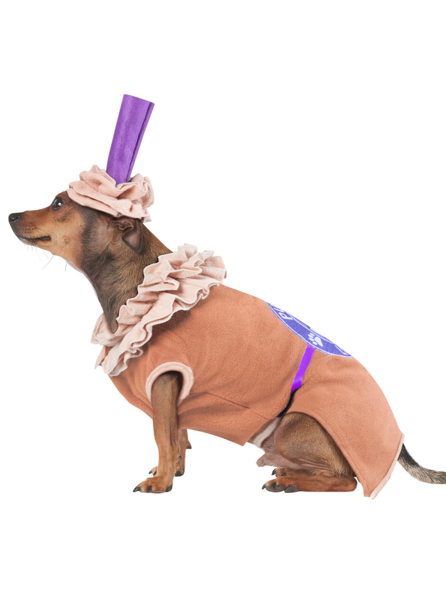 Puppy Latte Pet Costume - costumes.com