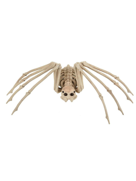 20.5 Inch Spider Skeleton Prop