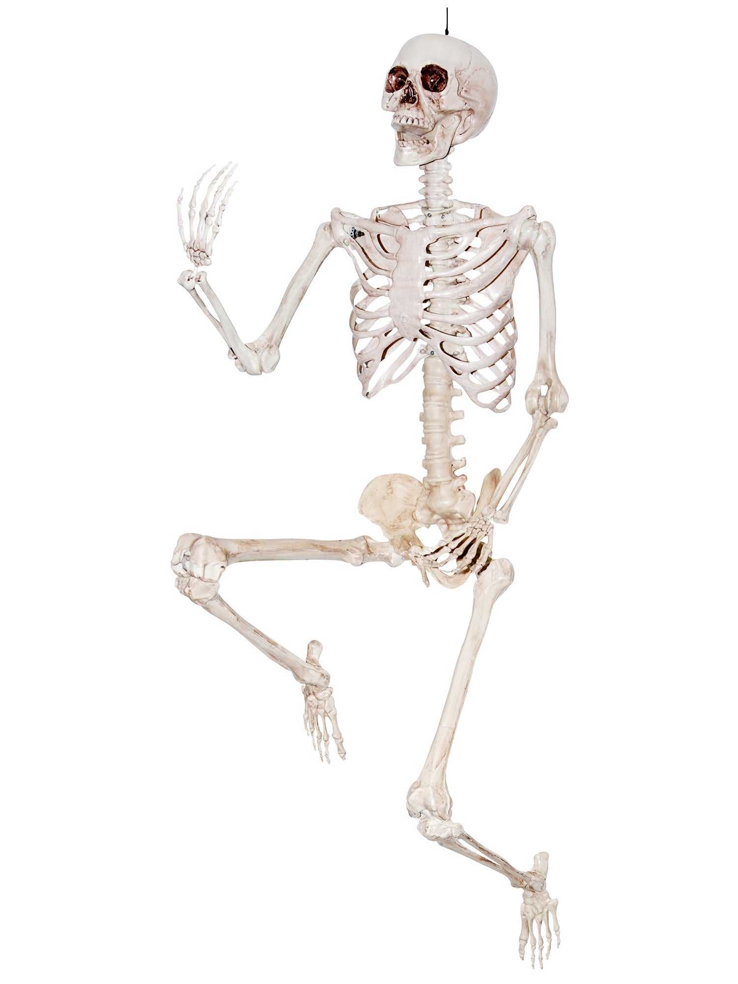 7 Foot Skeleton Posable Hanging Decoration - costumes.com