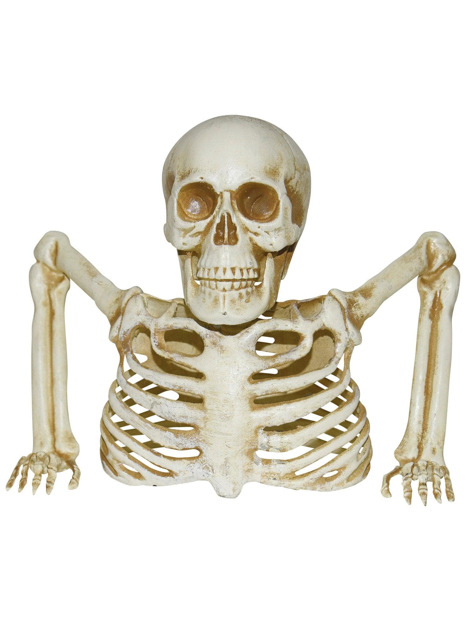 8 Inch Groundbreaker Skeleton Prop - costumes.com
