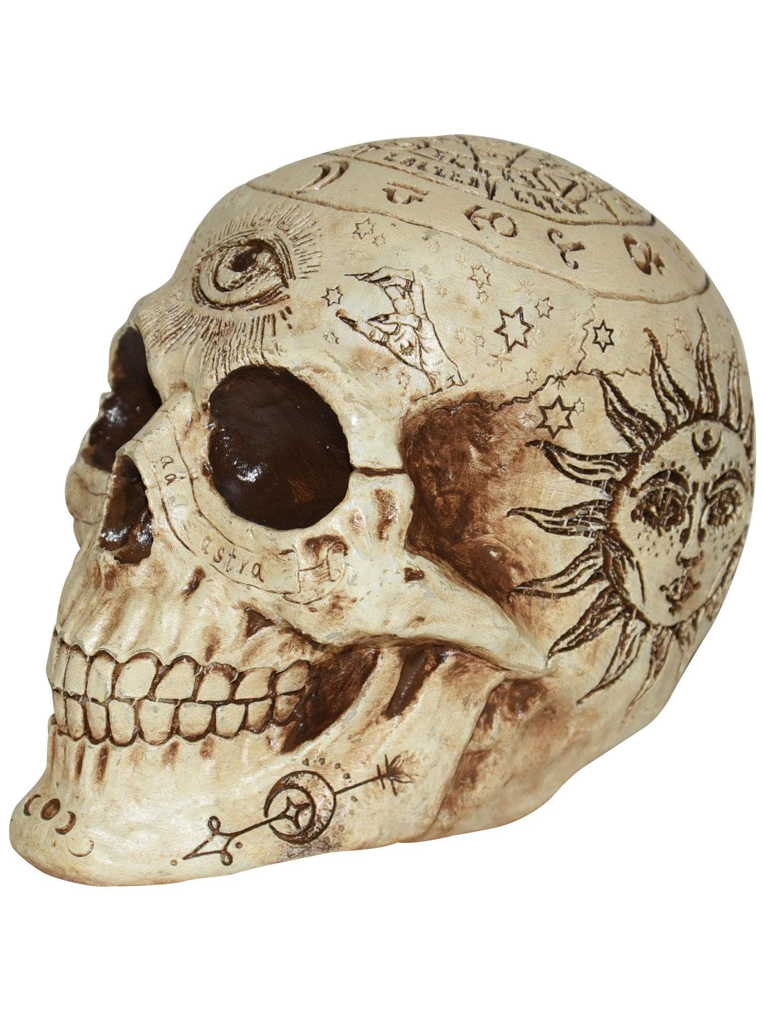 7 Inch Fortune Telling Skull Prop - costumes.com